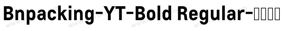 Bnpacking-YT-Bold Regular字体转换